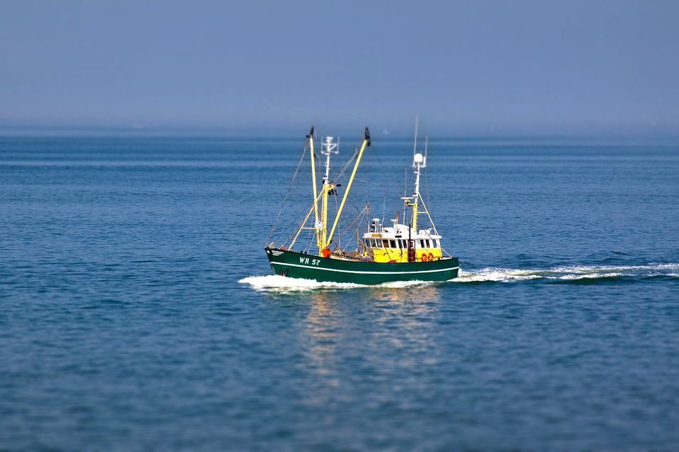maritimo-fishing