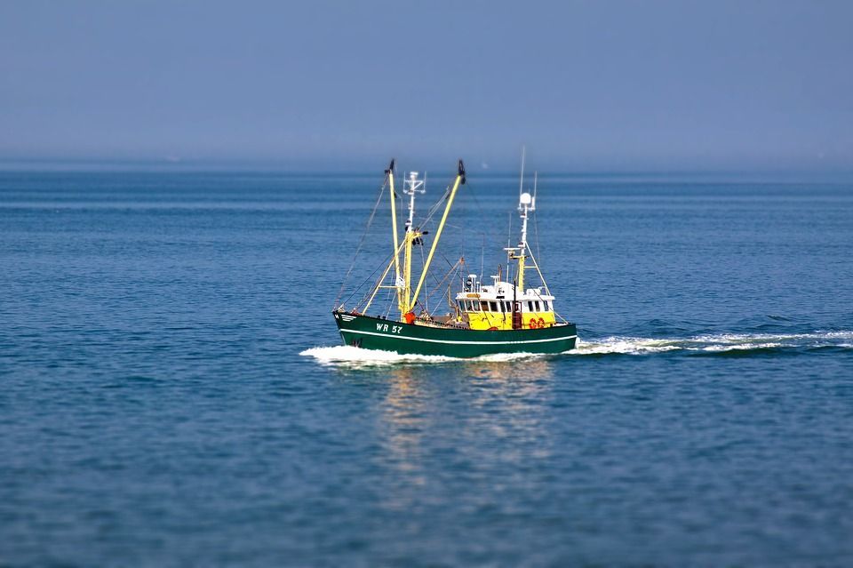maritimo-fishing